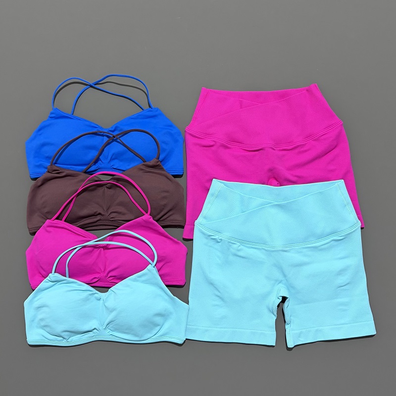 2 Piece Vision Gym Set Women Y - Bra Top Seamless recension och pris